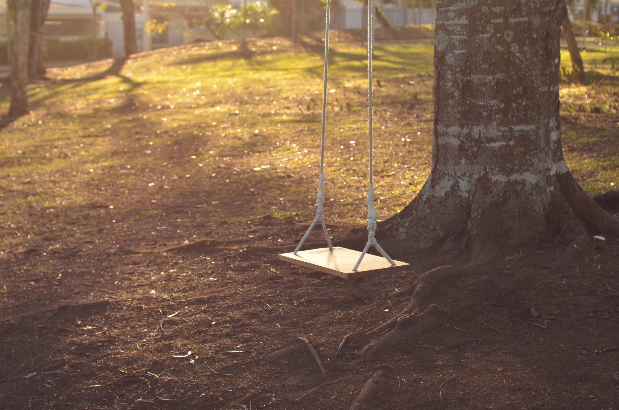 Empty Swing