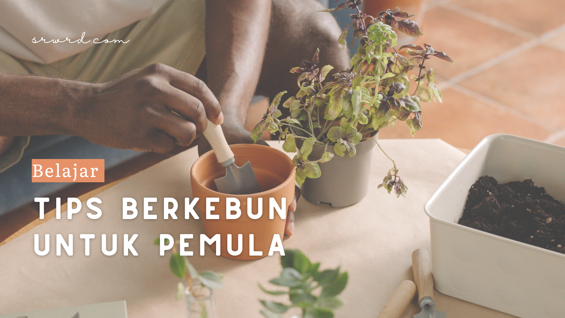 Tips Berkebun untuk Pemula - Pexels by cottonbro studio